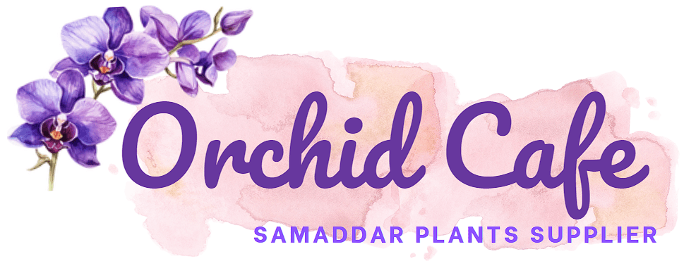 Orchid cafe